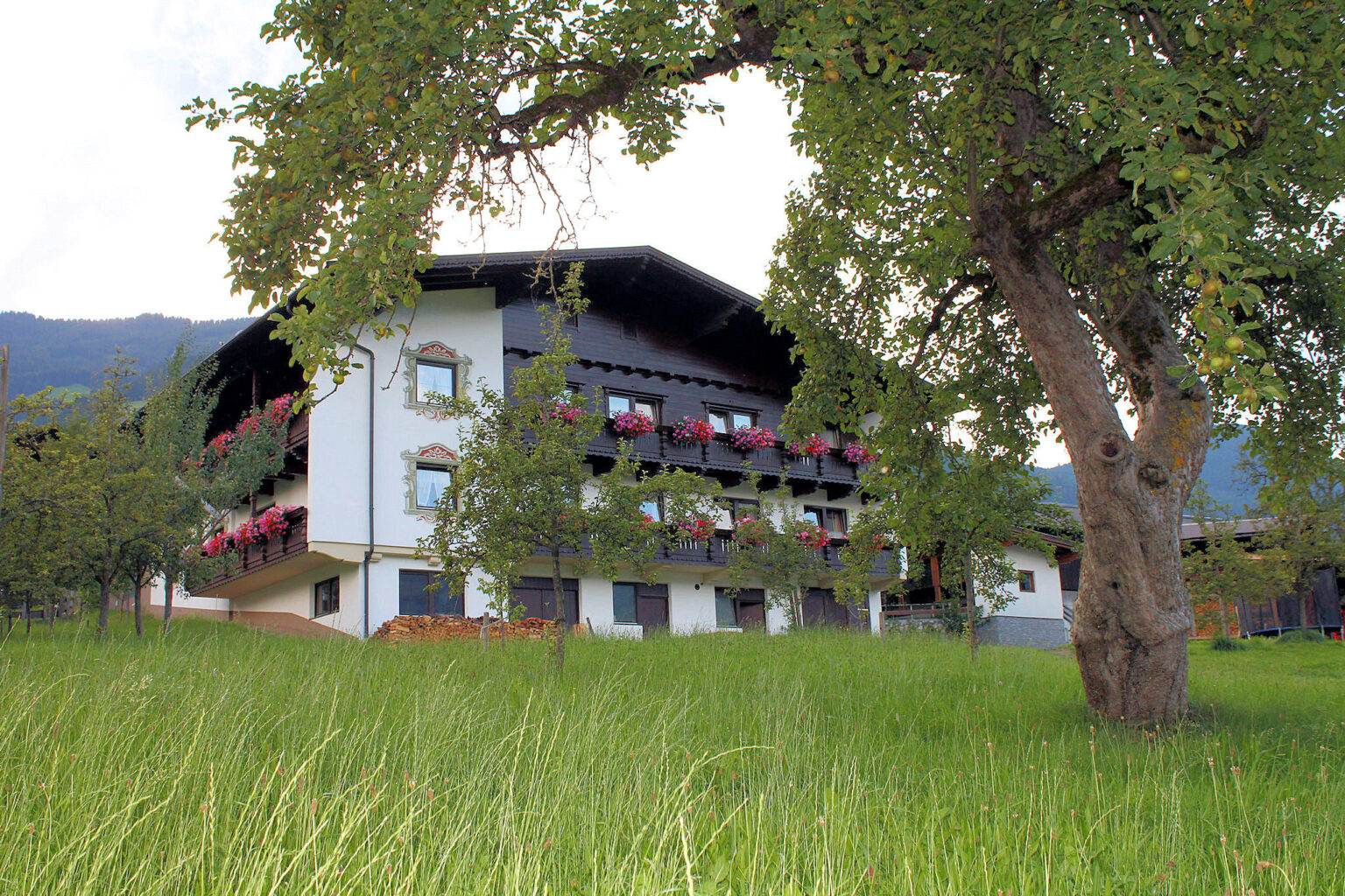 riemenerhof-zillertal-haus (1)