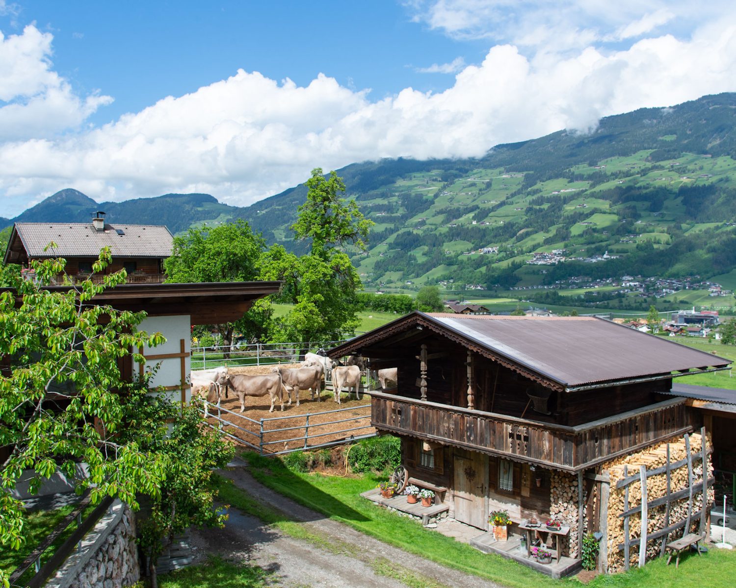 riemererhof-haus-garten-zillertal-aussicht (7)